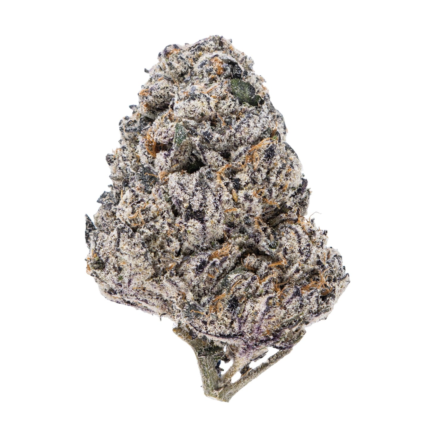 Gold Spectrum Gold Line THC-A Flower Jars- 3.5g London Purpz