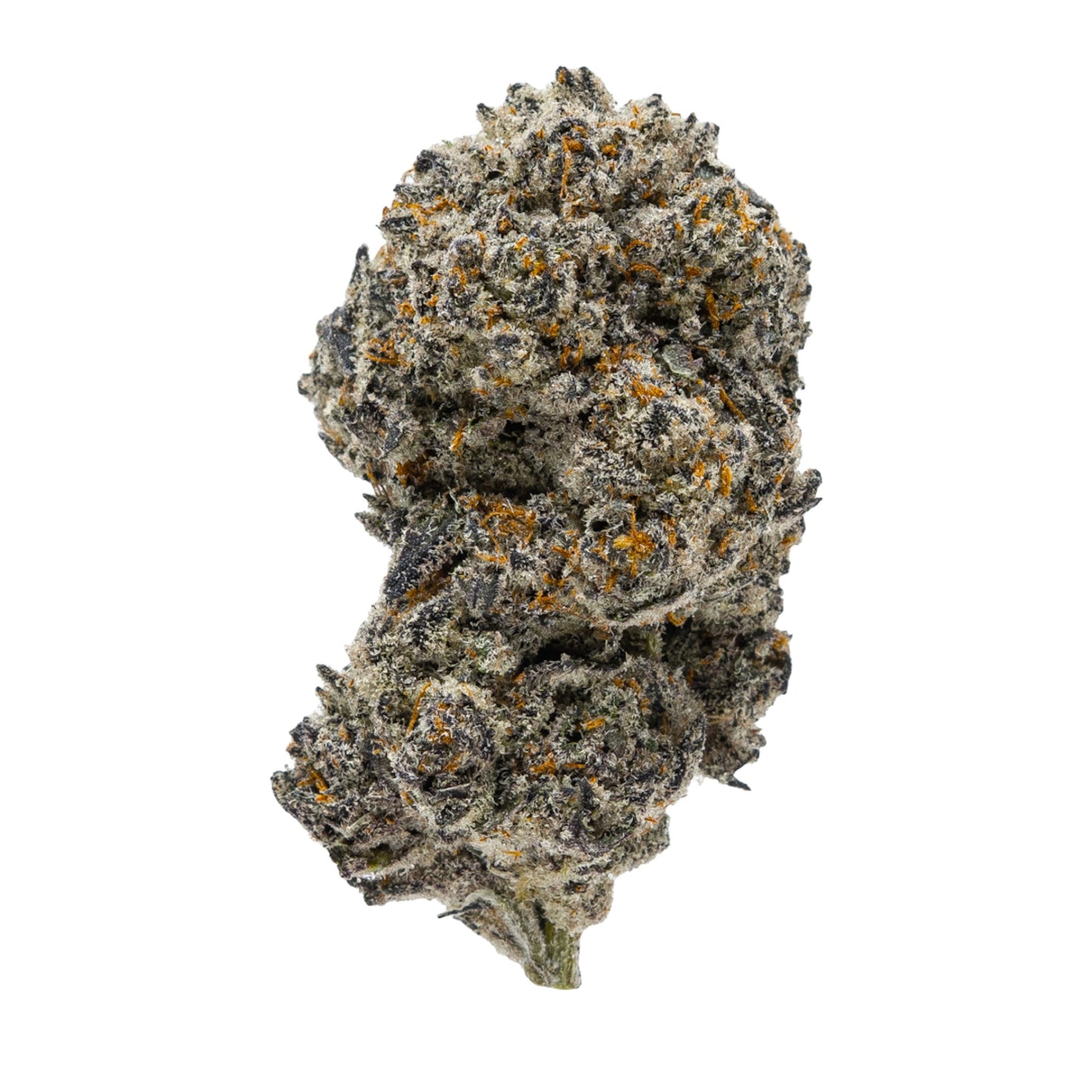 Gold Spectrum Gold Line THC-A Flower Jars- 3.5g LA Runtz