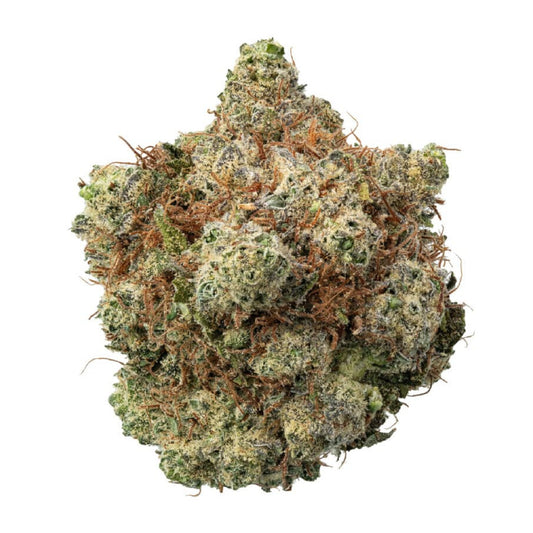 Premium Shelf Strawberry Cream THCa Flower