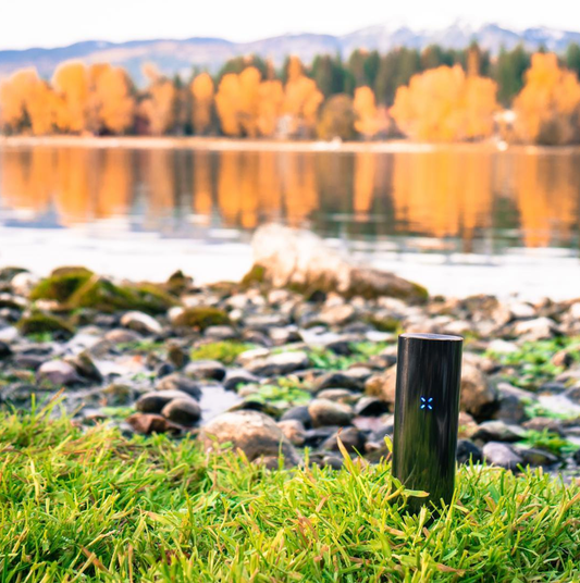 Pax Labs PAX3 Basic Kit Vape