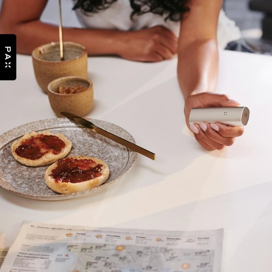 Pax Labs PAX3 Basic Kit Vape