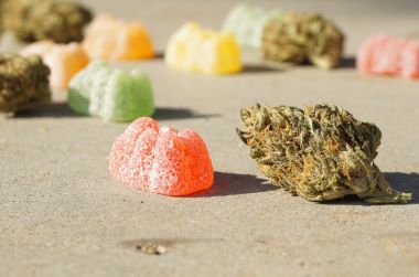 CBD gummies and dry herb