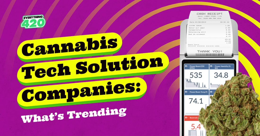Cannabis Tech Solution Companies: What’s Trending