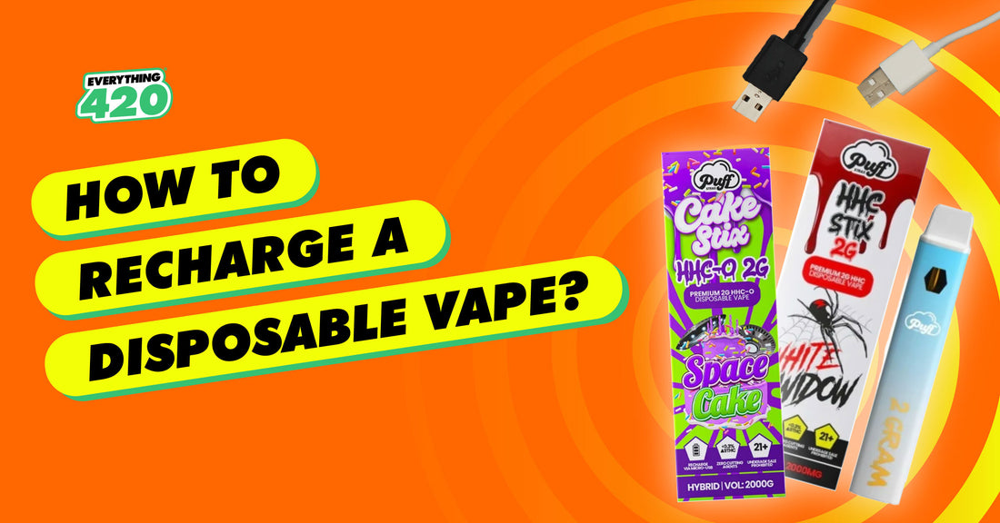 How To Recharge A Disposable Vape? - Everything 420 How To Recharge A Disposable Vape? - Everything 420