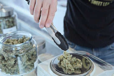 weed scale weigh marijuana