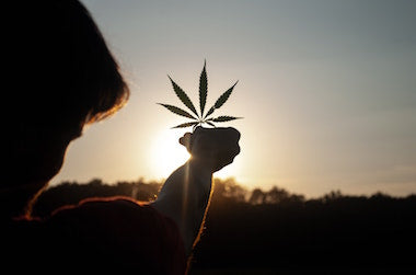man holding cannabis leaf