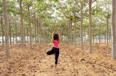 ganja yoga and marijuana