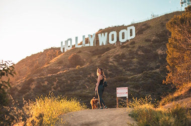 hollywood sign