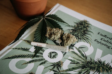 420 tobacco rd london ky Sophie's Place All You Need to Know