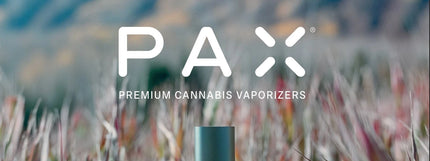 PAX Labs