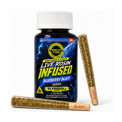 White Fish Live Rosin Infused Hashhole 2g - 10ct (20g)