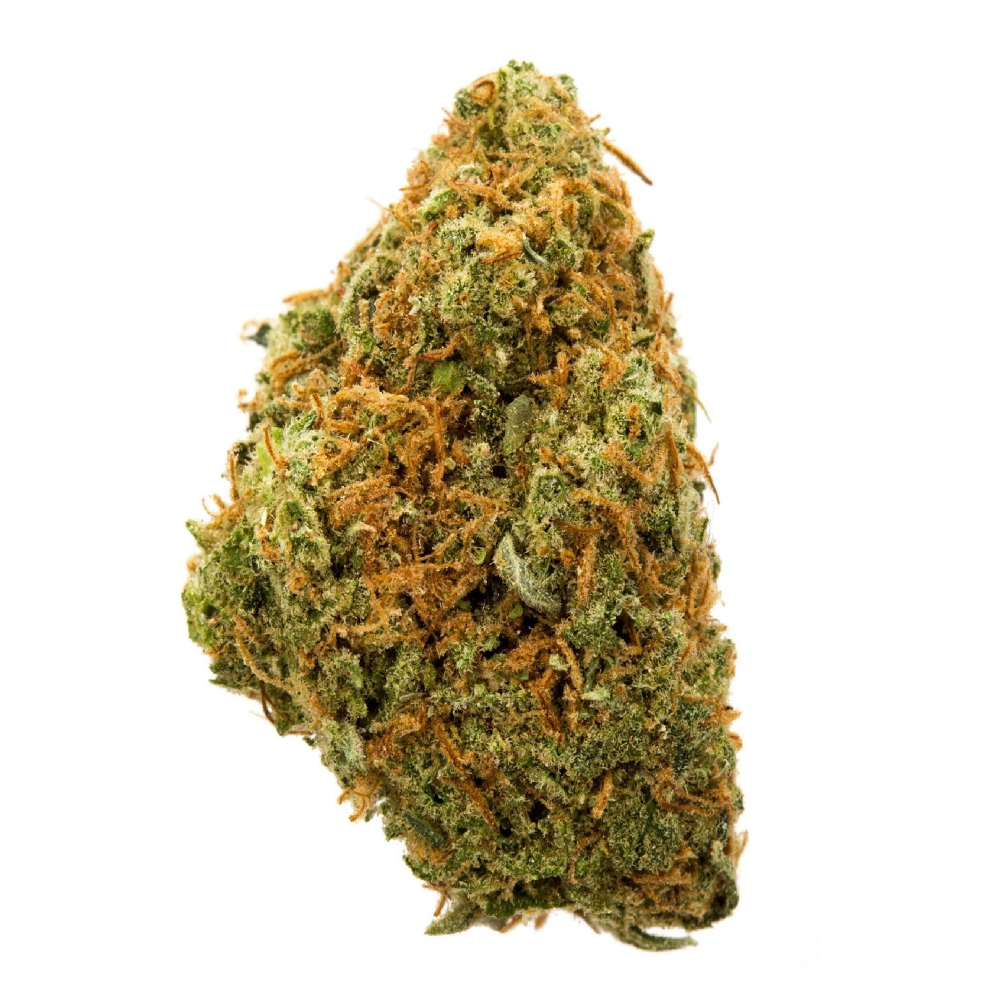 Premium Shelf Code Red THCa Flower