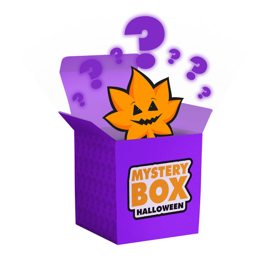 E420 Halloween Spooktacular Mystery Box