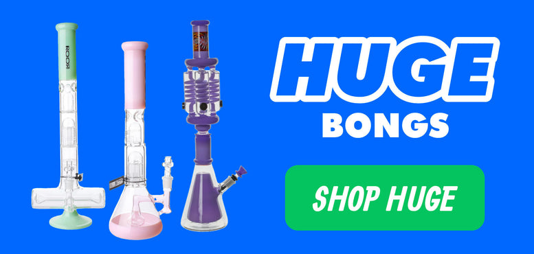 Bongs for Sale | Shop 300+ Unique Designs | Everything 420