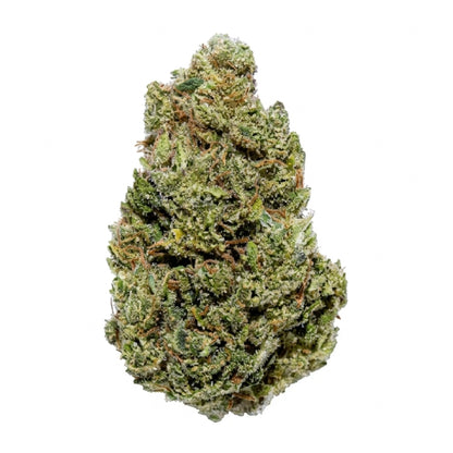 Premium Shelf Pineapple Kush THCa Flower