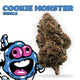 Big High Premium Cookie Monster THC-A Flower - 3.5g