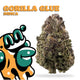 Big High Premium Gorilla Glue THC-A Flower - 3.5g