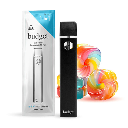 Budget HHC Vaporizer - 1000mg