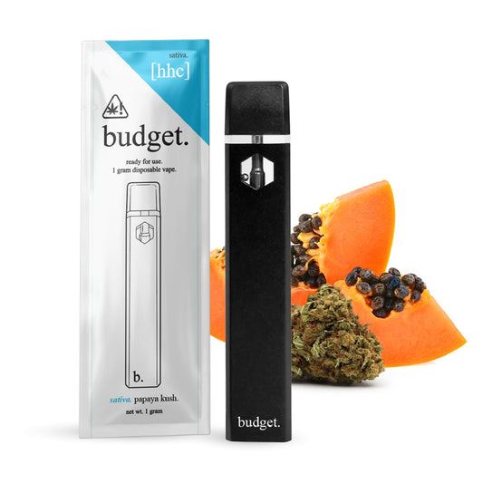 Budget HHC Vaporizer - 1000mg