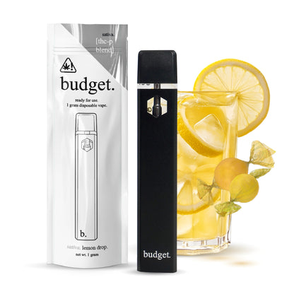 Budget THC-P Vaporizer - 1000mg