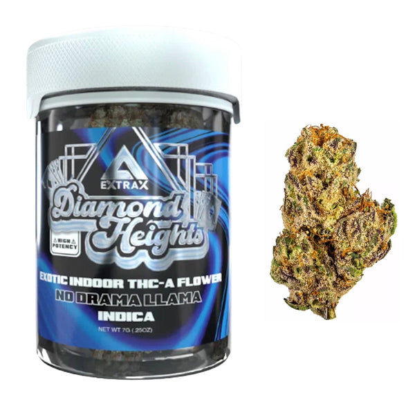 diamond-heights-no-drama-llama