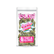 Exodus High Potency THC-A Flower - 8g Rainbow Gelato