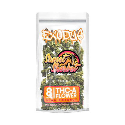 Exodus High Potency THCa Flower - 8g Sunset Sherbet (H)