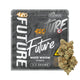 Future 420 THCa Flower - 3.5G Charcoal White Widow (H)