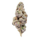 Gold Spectrum Connoisseur Grape Ape THC-A Flower