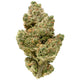 Gold Spectrum Connoisseur Orange Push Pop THC-A Flower