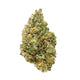 Gold Spectrum Connoisseur Premium High Fructose THC-A Flower - 3.5g