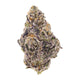 Gold Spectrum Connoisseur Scented Marker THC-A Flower