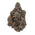 Gold Spectrum Gold Line THC-A Flower Bag - 3.5g Cherry Gelato
