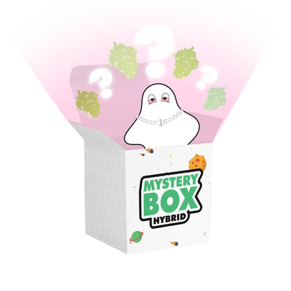 Hybrid E420 Mystery Box Lifted