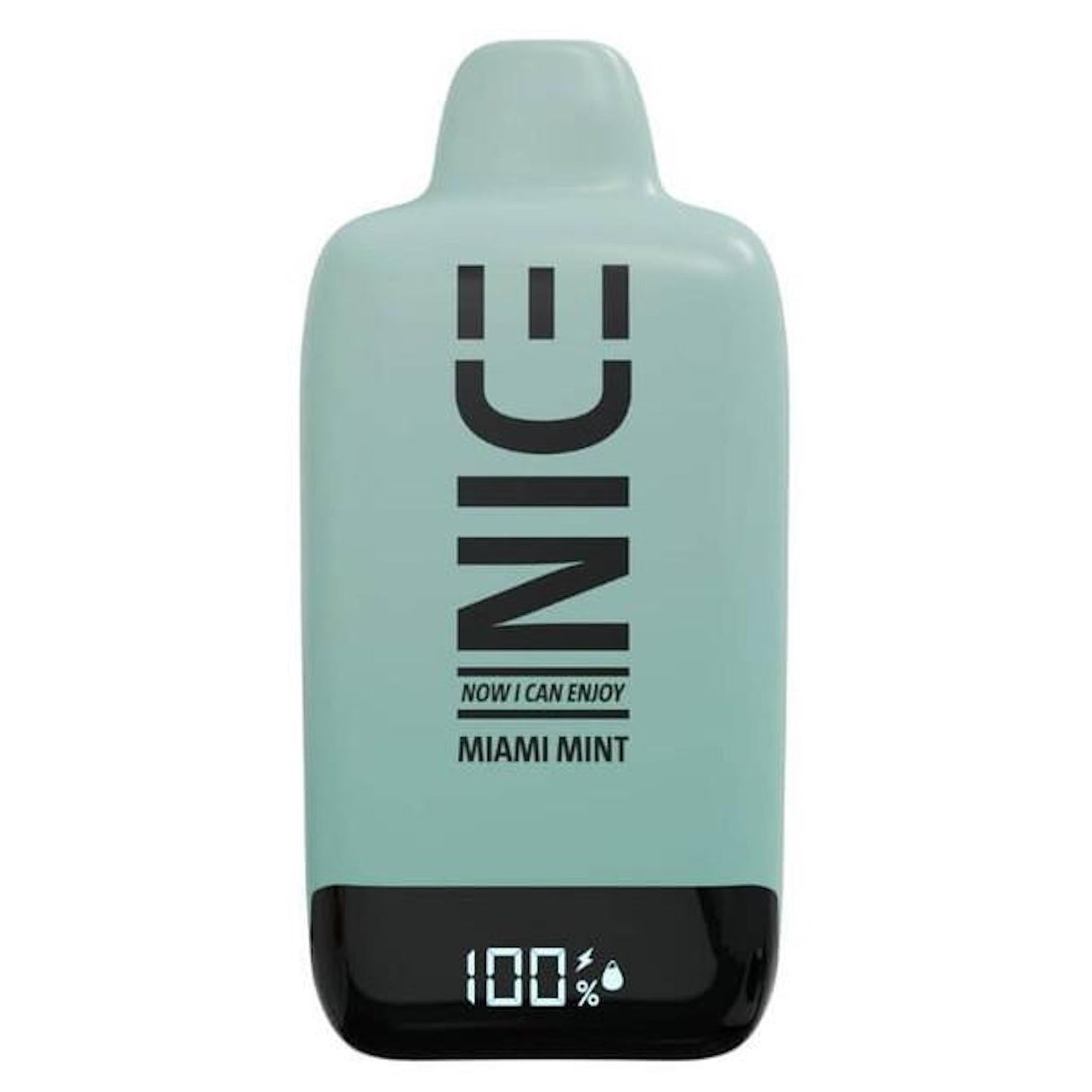 Nice 9000 Puff Miami Mint Nic Vape - 5%