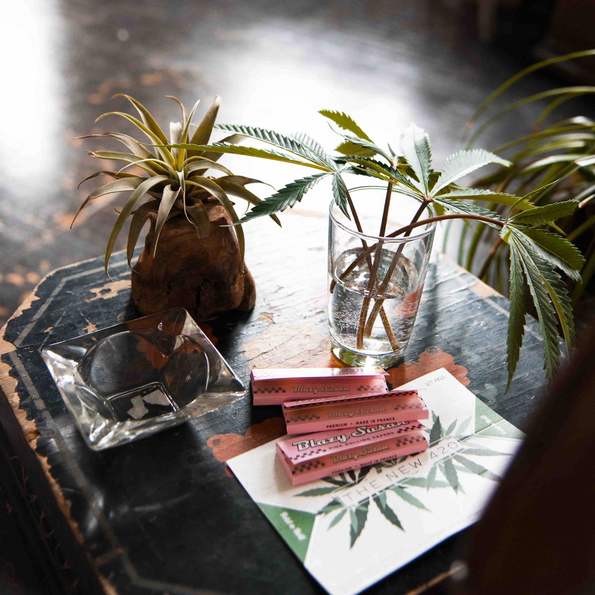 Pink Blazy Susan Rolling Papers 2 Pack Everything 420