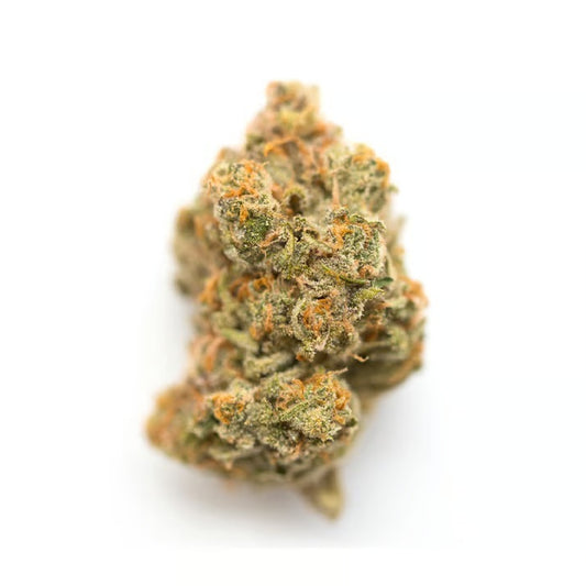 Premium Shelf Mac & Cheese THCa Flower