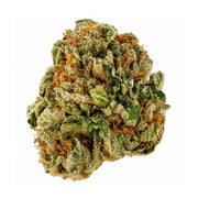 Premium Super Charger THCa Flower