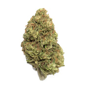 Select Shelf Cookie THCa Flower