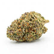 Select Shelf Hashburger THCa Flower