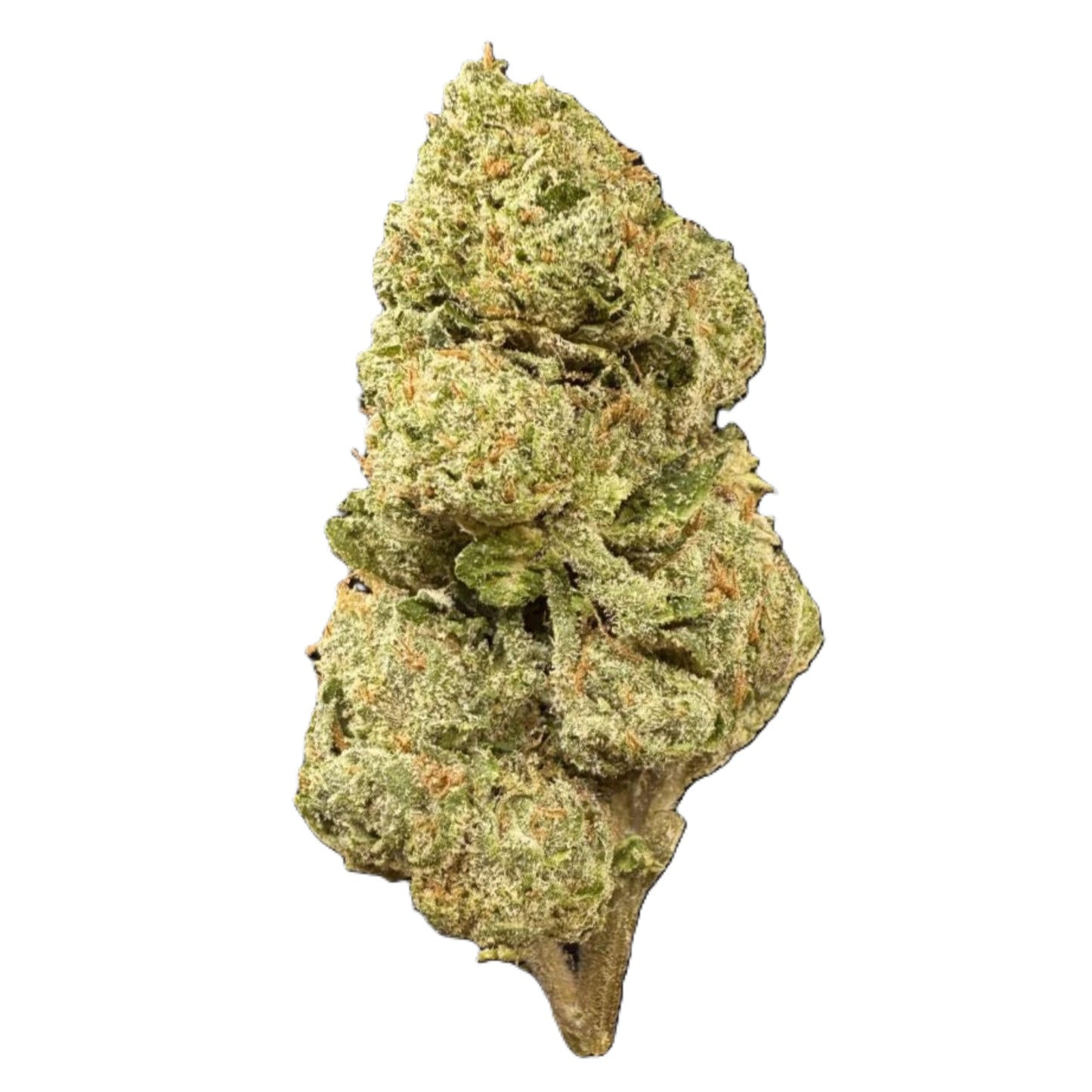 Select Shelf LCG THCa Flower
