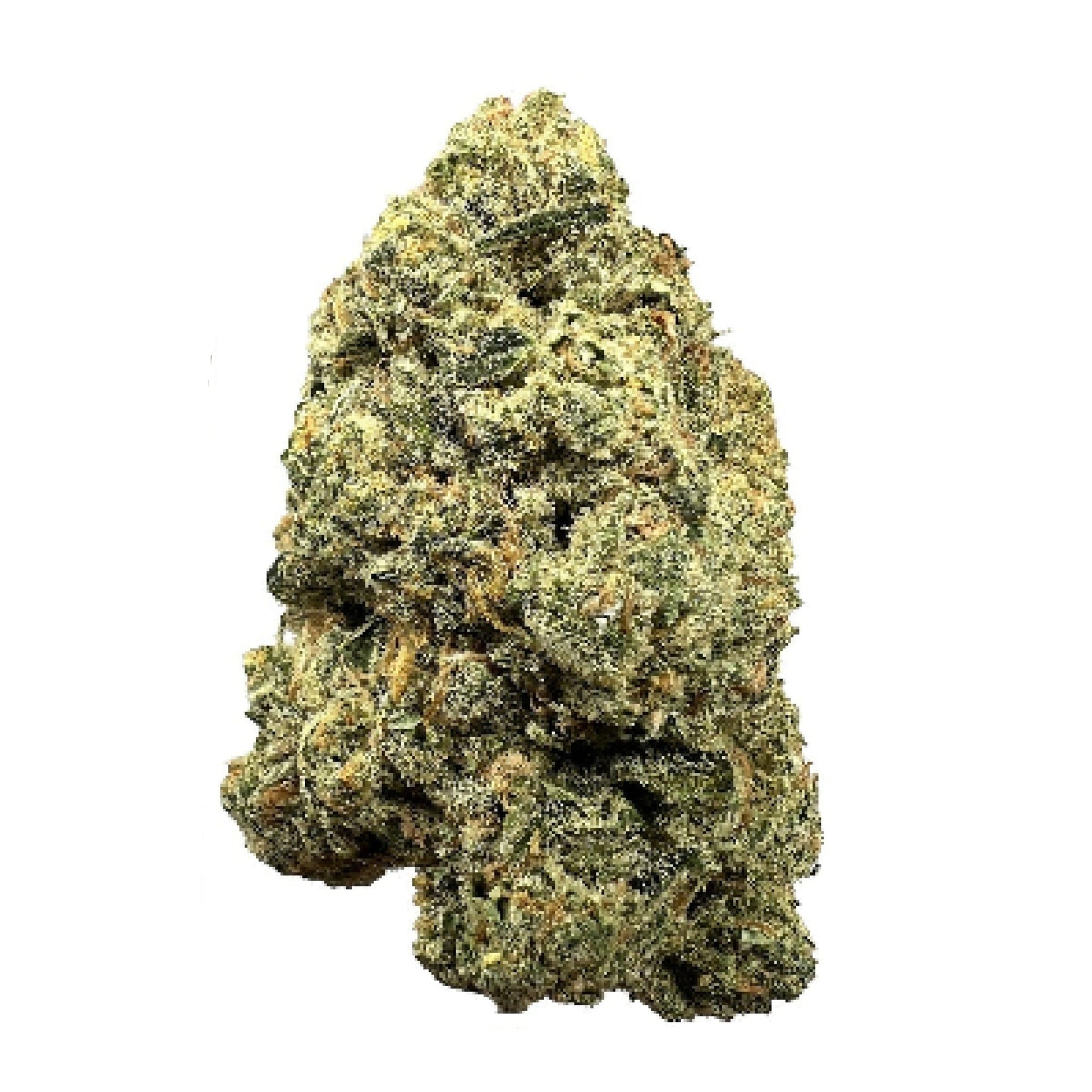 Top Shelf Apricot Scones THCa Flower