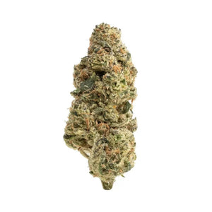 Top Shelf Gastro Pop THCa Flower