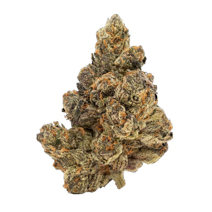 Zotica Plasma Gas THC-A Flower - 3.5g