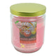 Deodorizer Candle - 4.5in Happy Apple